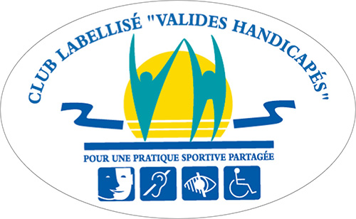 handi